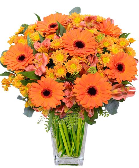 fiori arancio