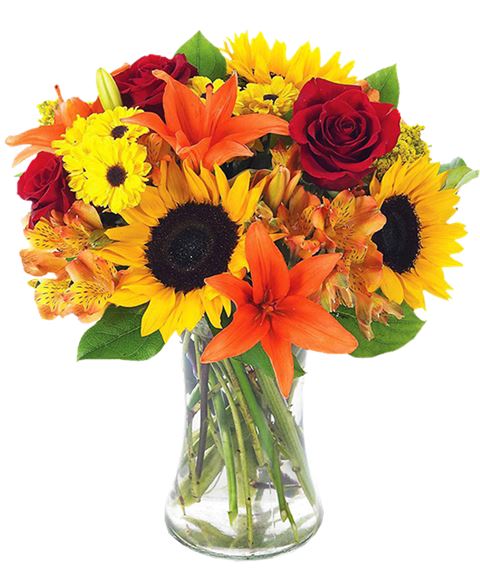fiori festa della mamma