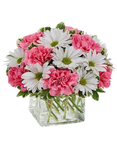 fiori per nascita