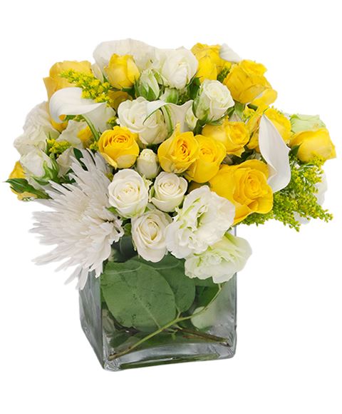 consegna fiori