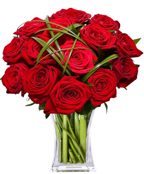 Rose Rosse