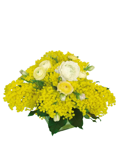 Centrotavola con mimosa